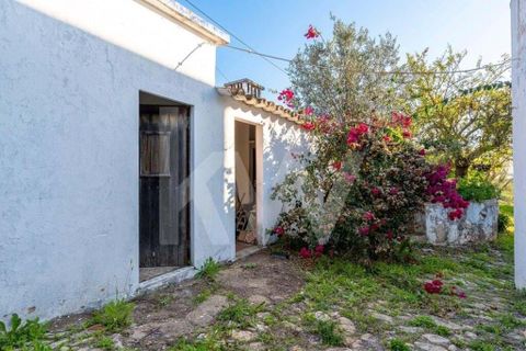 Villa i Olhao, Faro, Olhao - € 330.000 | Ref: 2276-1150 - foto 3