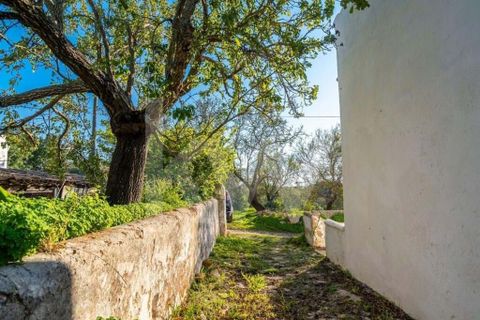 Villa i Olhao, Faro, Olhao - € 330.000 | Ref: 2276-1150 - foto 4