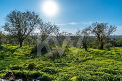 Villa i Olhao, Faro, Olhao - € 330.000 | Ref: 2276-1150 - foto 35