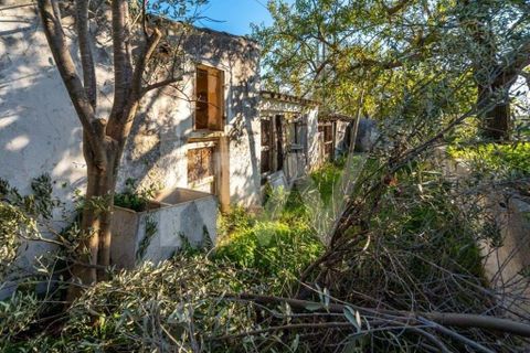 Villa i Olhao, Faro, Olhao - € 330.000 | Ref: 2276-1150 - foto 18