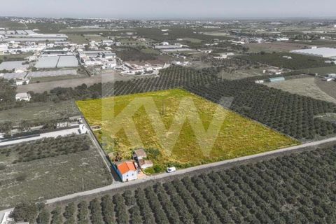 Villa i Faro, Faro, Faro - € 460.000 | Ref: 2276-1263 - foto 47