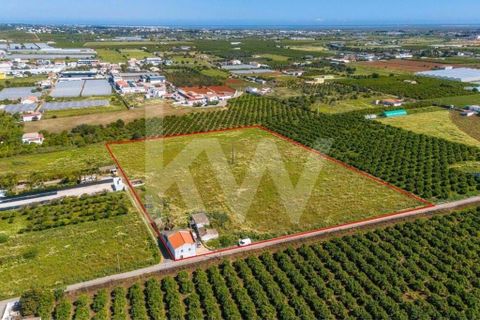 Villa i Faro, Faro, Faro - € 460.000 | Ref: 2276-1263 - foto 48