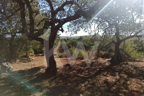 Villa i Paderne, Faro, Paderne - € 170.000 | Ref: 2276-628 - foto 8