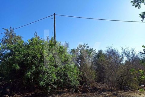 Villa i Paderne, Faro, Paderne - € 170.000 | Ref: 2276-628 - foto 9