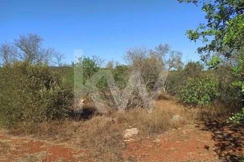 Villa i Paderne, Faro, Paderne - € 170.000 | Ref: 2276-628 - foto 11