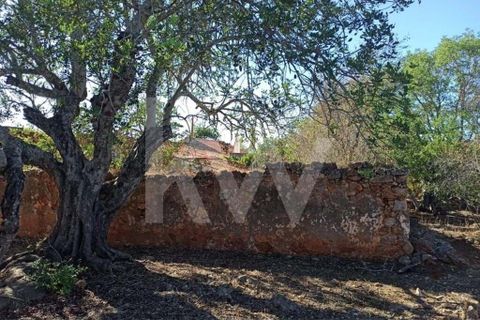 Villa i Paderne, Faro, Paderne - € 170.000 | Ref: 2276-628 - foto 12