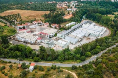 Erhvervsejendom i Tomar, Santarem, Tomar - € 7.000.000 | Ref: 2276-898 - foto 10