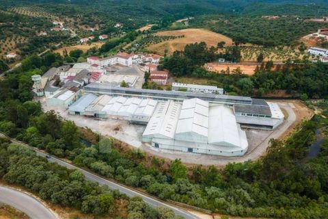 Erhvervsejendom i Tomar, Santarem, Tomar - € 7.000.000 | Ref: 2276-898 - foto 11