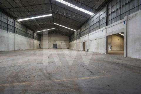 Erhvervsejendom i Tomar, Santarem, Tomar - € 7.000.000 | Ref: 2276-898 - foto 34