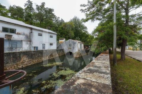 Erhvervsejendom i Tomar, Santarem, Tomar - € 7.000.000 | Ref: 2276-898 - foto 35