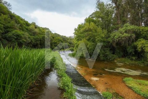 Erhvervsejendom i Tomar, Santarem, Tomar - € 7.000.000 | Ref: 2276-898 - foto 36