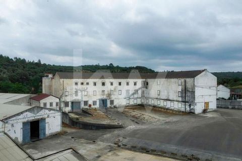Erhvervsejendom i Tomar, Santarem, Tomar - € 7.000.000 | Ref: 2276-898 - foto 45