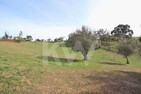 Helårsgrund i Ourique, Beja, Ourique - € 49.500 | Ref: 1210-1635 - foto 5