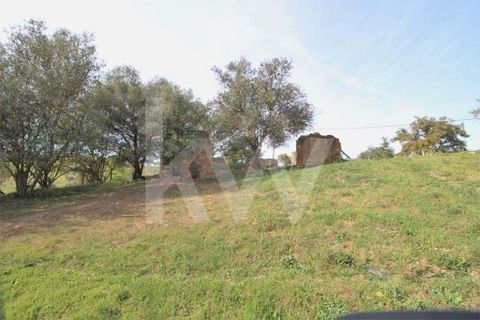 Helårsgrund i Ourique, Beja, Ourique - € 49.500 | Ref: 1210-1635 - foto 3