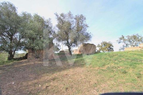 Helårsgrund i Ourique, Beja, Ourique - € 49.500 | Ref: 1210-1635 - foto 6