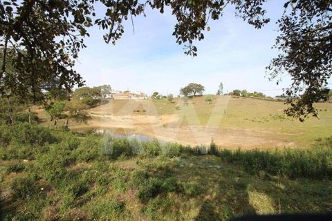 Helårsgrund i Ourique, Beja, Ourique - € 49.500 | Ref: 1210-1635 - foto 9