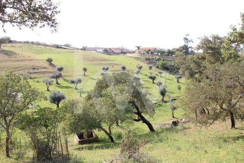 Helårsgrund i Ourique, Beja, Ourique - € 49.500 | Ref: 1210-1635 - foto 10