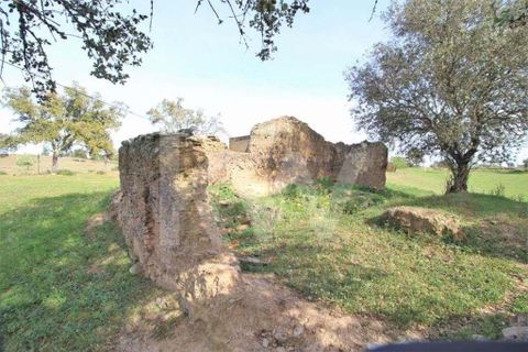 Helårsgrund i Ourique, Beja, Ourique - € 49.500 | Ref: 1210-1635 - foto 11