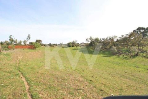 Helårsgrund i Ourique, Beja, Ourique - € 49.500 | Ref: 1210-1635 - foto 13