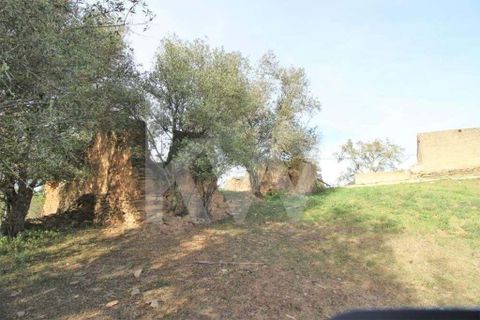 Helårsgrund i Ourique, Beja, Ourique - € 49.500 | Ref: 1210-1635 - foto 14