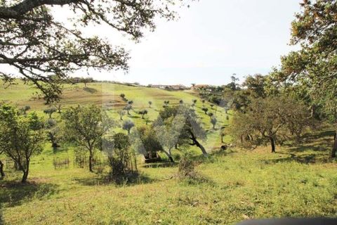 Helårsgrund i Ourique, Beja, Ourique - € 49.500 | Ref: 1210-1635 - foto 17
