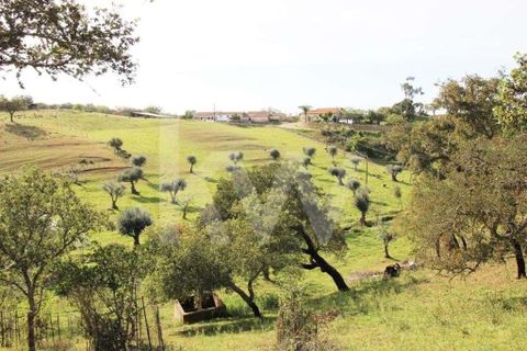 Helårsgrund i Ourique, Beja, Ourique - € 49.500 | Ref: 1210-1635 - foto 18