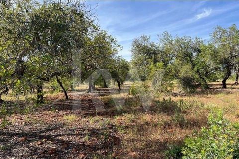 Helårsgrund i Paderne, Faro, Paderne - € 45.000 | Ref: 1210-3188 - foto 2