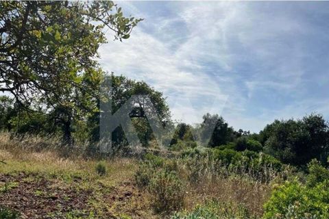 Helårsgrund i Paderne, Faro, Paderne - € 45.000 | Ref: 1210-3188 - foto 3