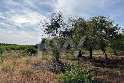 Helårsgrund i Paderne, Faro, Paderne - € 45.000 | Ref: 1210-3188 - foto 4