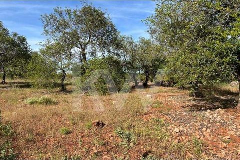 Helårsgrund i Paderne, Faro, Paderne - € 45.000 | Ref: 1210-3188 - foto 5