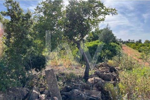 Helårsgrund i Paderne, Faro, Paderne - € 45.000 | Ref: 1210-3188 - foto 7