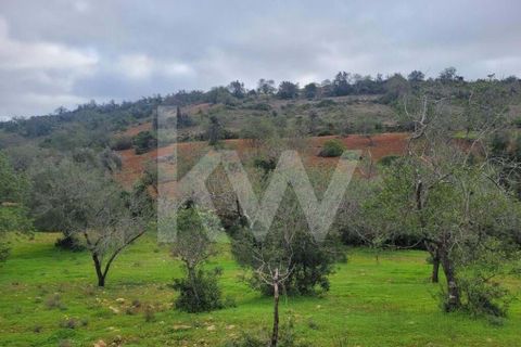 Helårsgrund i Paderne, Faro, Paderne - € 36.500 | Ref: 1210-2520 - foto 2