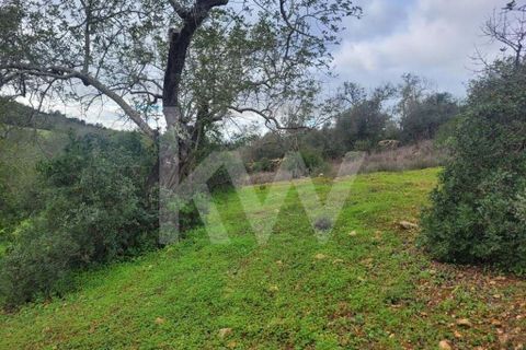 Helårsgrund i Paderne, Faro, Paderne - € 36.500 | Ref: 1210-2520 - foto 3