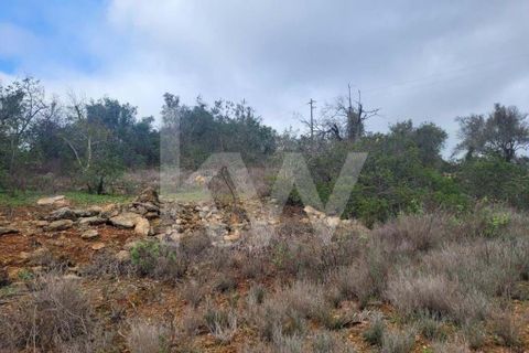 Helårsgrund i Paderne, Faro, Paderne - € 36.500 | Ref: 1210-2520 - foto 4