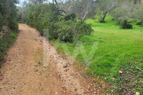 Helårsgrund i Paderne, Faro, Paderne - € 36.500 | Ref: 1210-2520 - foto 5