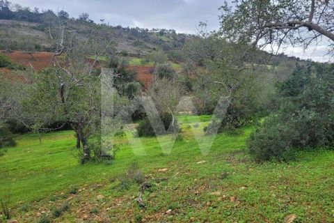 Helårsgrund i Paderne, Faro, Paderne - € 36.500 | Ref: 1210-2520 - foto 6