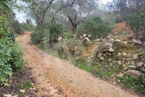 Helårsgrund i Paderne, Faro, Paderne - € 36.500 | Ref: 1210-2520 - foto 7