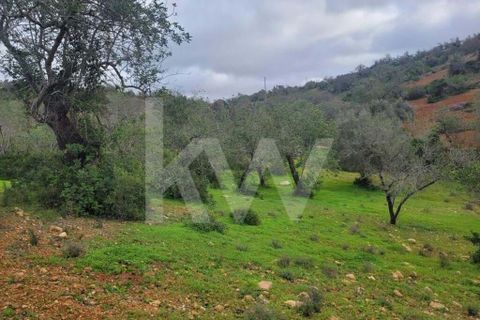 Helårsgrund i Paderne, Faro, Paderne - € 36.500 | Ref: 1210-2520 - foto 8