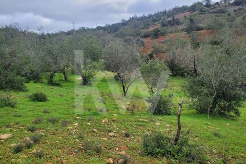 Helårsgrund i Paderne, Faro, Paderne - € 36.500 | Ref: 1210-2520 - foto 9
