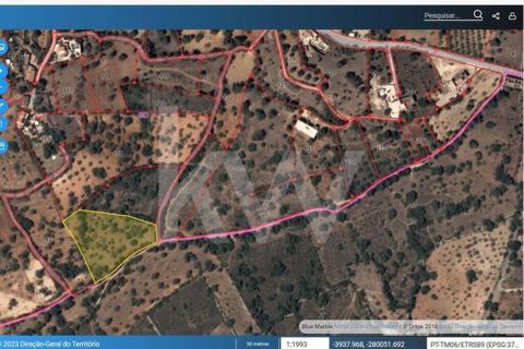 Helårsgrund i Paderne, Faro, Paderne - € 36.500 | Ref: 1210-2520 - foto 10
