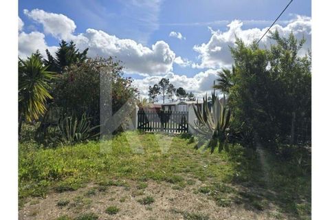 Terrain - Odeceixe, Faro, Odeceixe - € 689 000 | Réf : 1210-3049 - photo 3