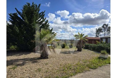 Terrain - Odeceixe, Faro, Odeceixe - € 689 000 | Réf : 1210-3049 - photo 8