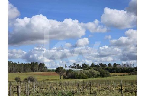 Terrain - Odeceixe, Faro, Odeceixe - € 689 000 | Réf : 1210-3049 - photo 11