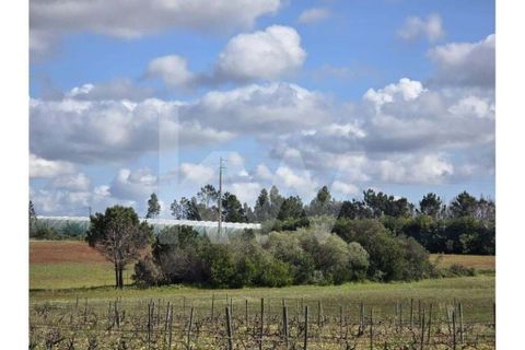 Terrain - Odeceixe, Faro, Odeceixe - € 689 000 | Réf : 1210-3049 - photo 14