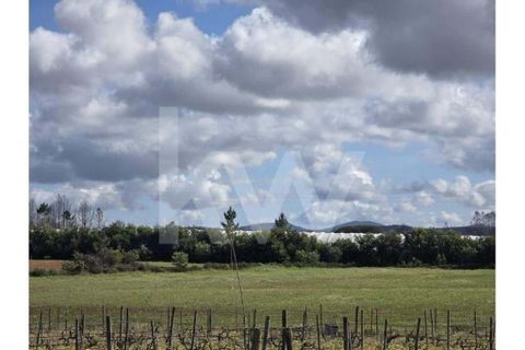 Terrain - Odeceixe, Faro, Odeceixe - € 689 000 | Réf : 1210-3049 - photo 15