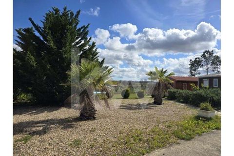Terrain - Odeceixe, Faro, Odeceixe - € 689 000 | Réf : 1210-3049 - photo 18