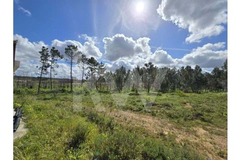 Terrain - Odeceixe, Faro, Odeceixe - € 689 000 | Réf : 1210-3049 - photo 28