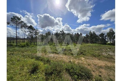 Terrain - Odeceixe, Faro, Odeceixe - € 689 000 | Réf : 1210-3049 - photo 29