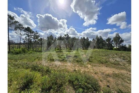 Terrain - Odeceixe, Faro, Odeceixe - € 689 000 | Réf : 1210-3049 - photo 30