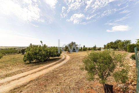 Villa i Carvoeiro, Faro, Carvoeiro - € 2.490.000 | Ref: KWPT-001168 - foto 18
